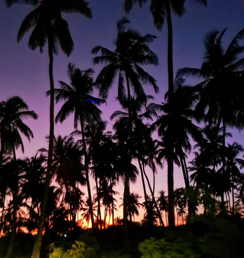 Beachfront Villa Ladha Ya Zanzibar Jambiani  Buitenkant foto