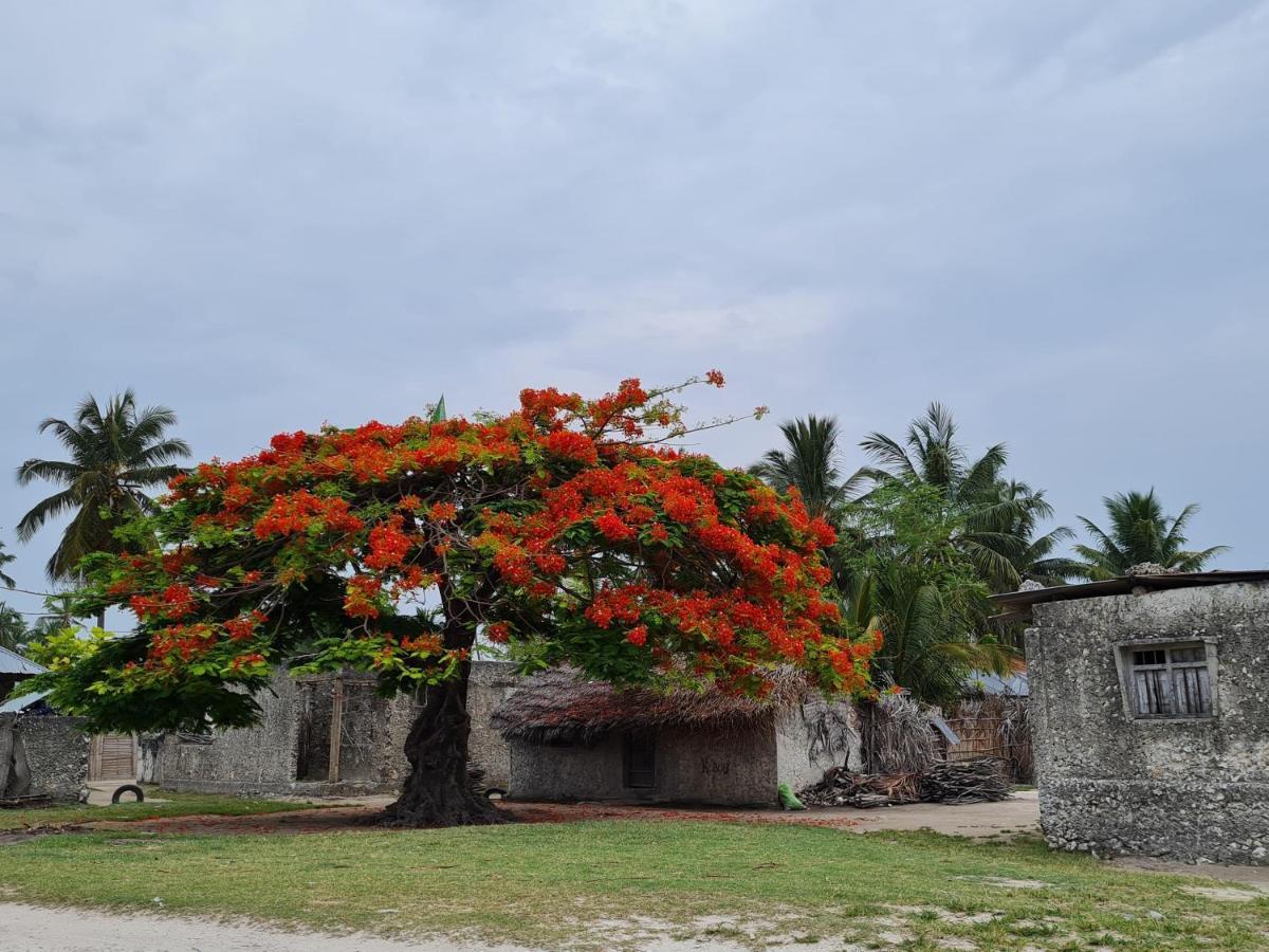 Beachfront Villa Ladha Ya Zanzibar Jambiani  Buitenkant foto