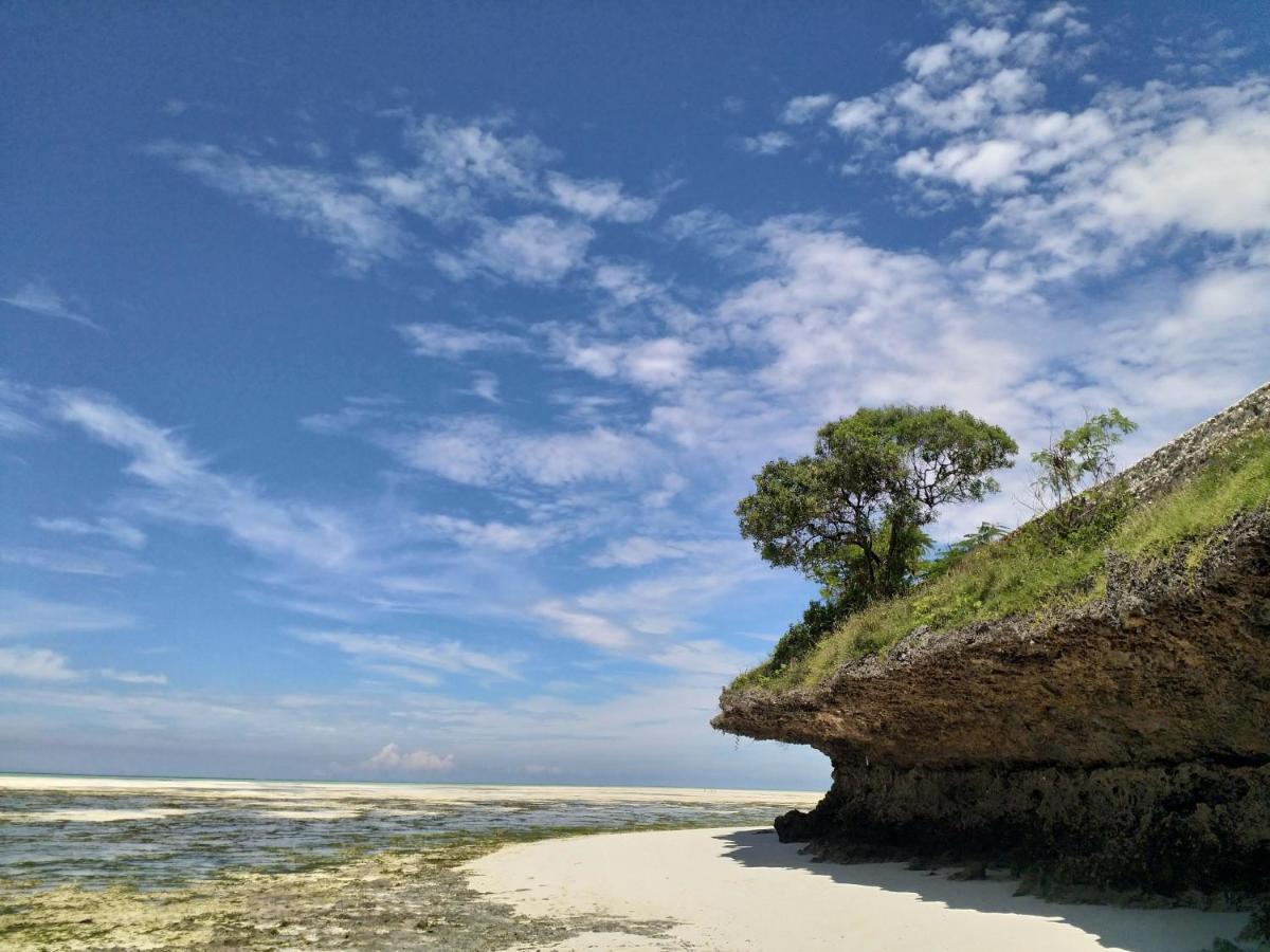Beachfront Villa Ladha Ya Zanzibar Jambiani  Buitenkant foto