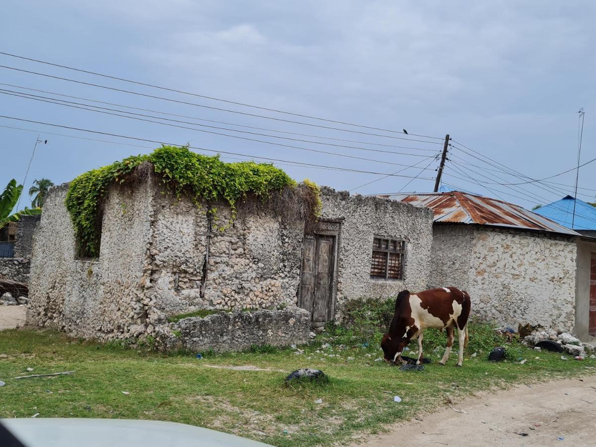 Beachfront Villa Ladha Ya Zanzibar Jambiani  Buitenkant foto