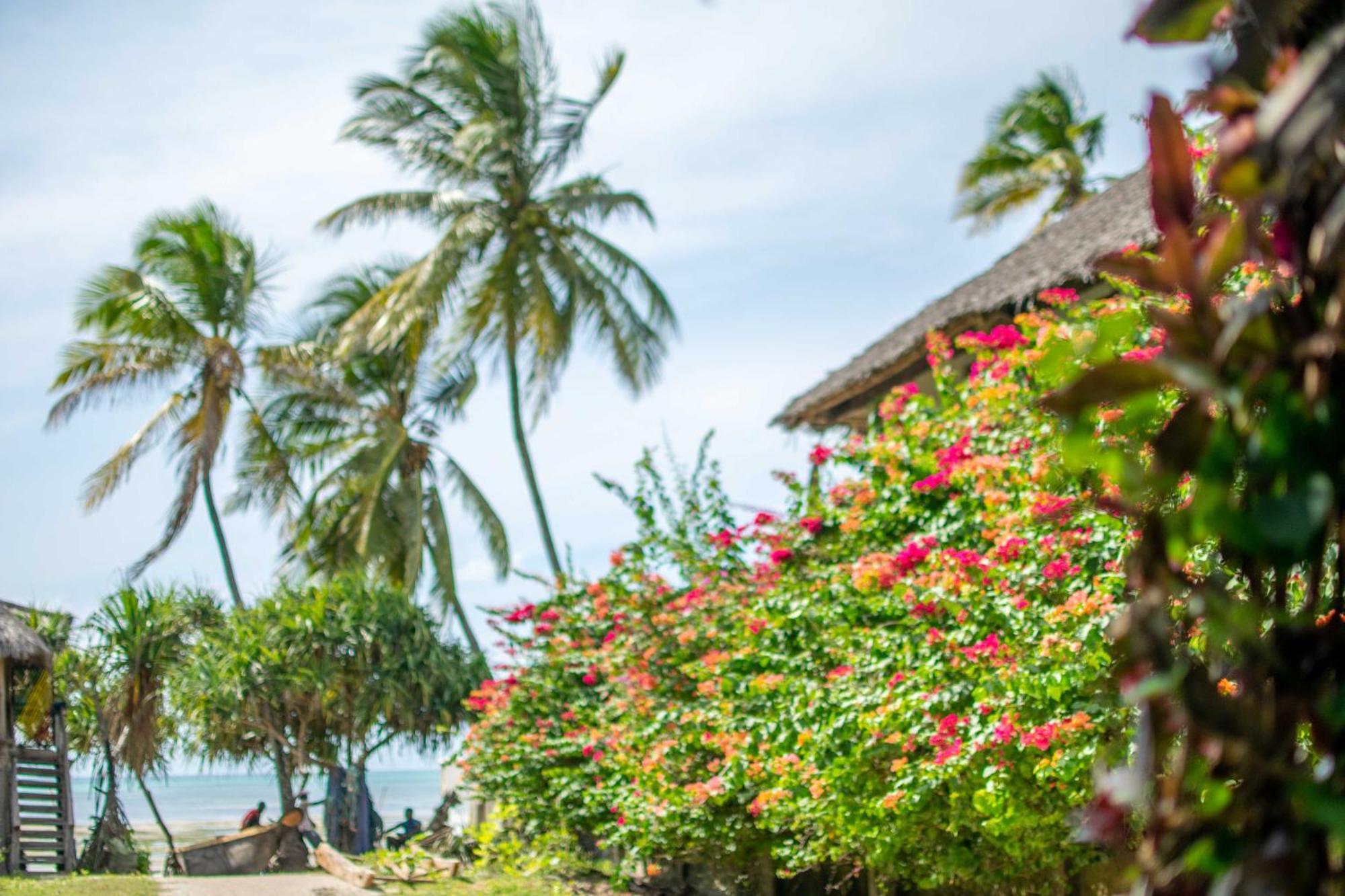 Beachfront Villa Ladha Ya Zanzibar Jambiani  Buitenkant foto